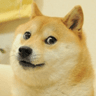 peacefuldoge's avatar